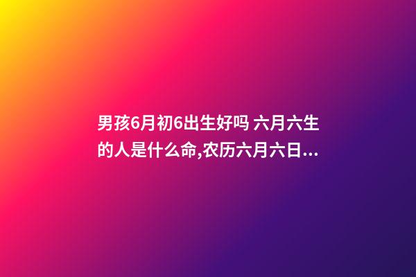 男孩6月初6出生好吗 六月六生的人是什么命,农历六月六日出生的人一生如何-第1张-观点-玄机派